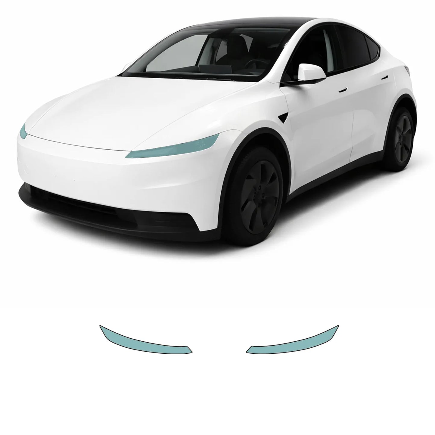 Model Y "Juniper" Standard pellicola protettiva PPF fari
